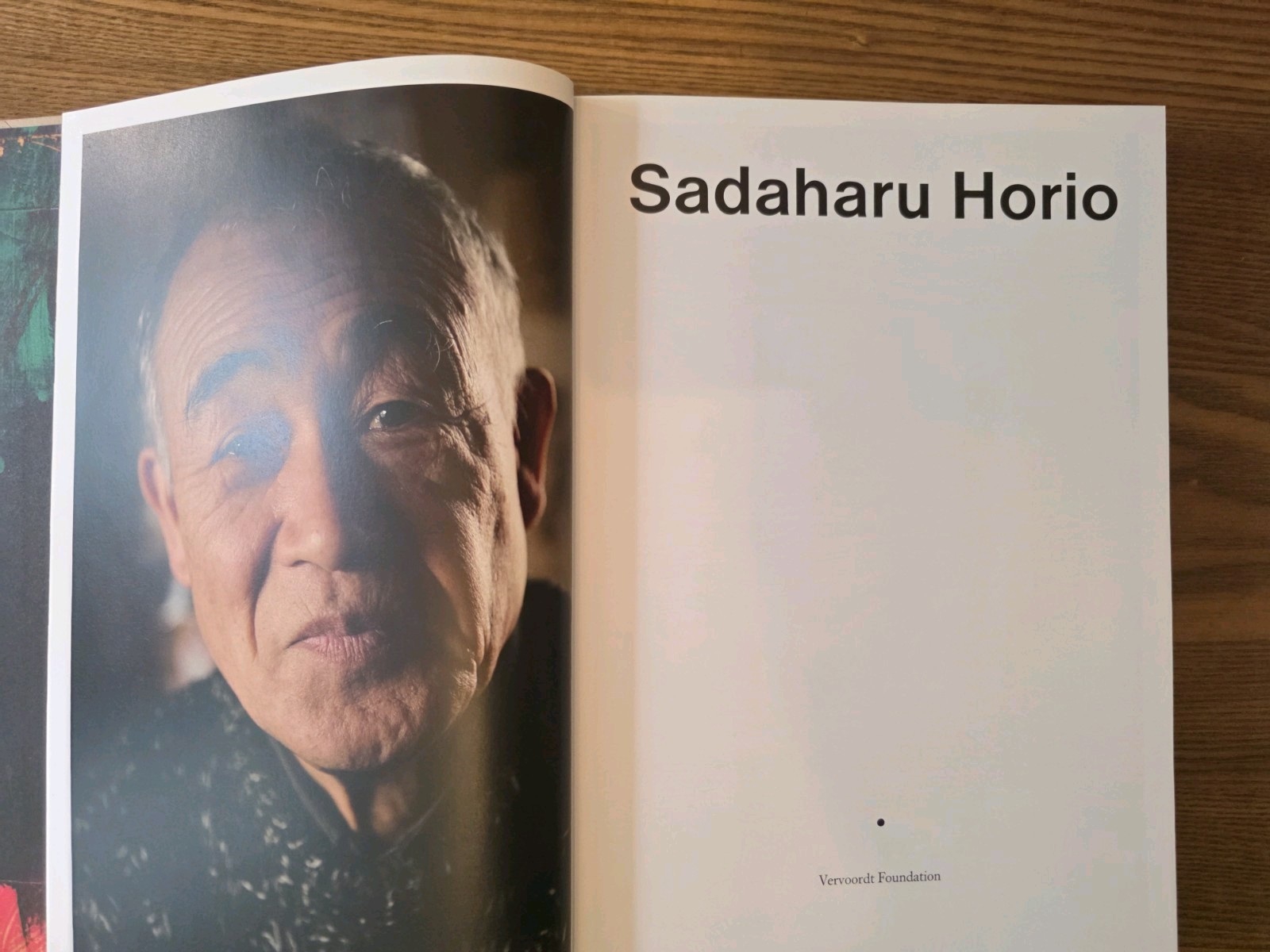 Sadaharu Horio Illustrated Hardcover Art Book by Yamamoto, Vervoordt, 2011