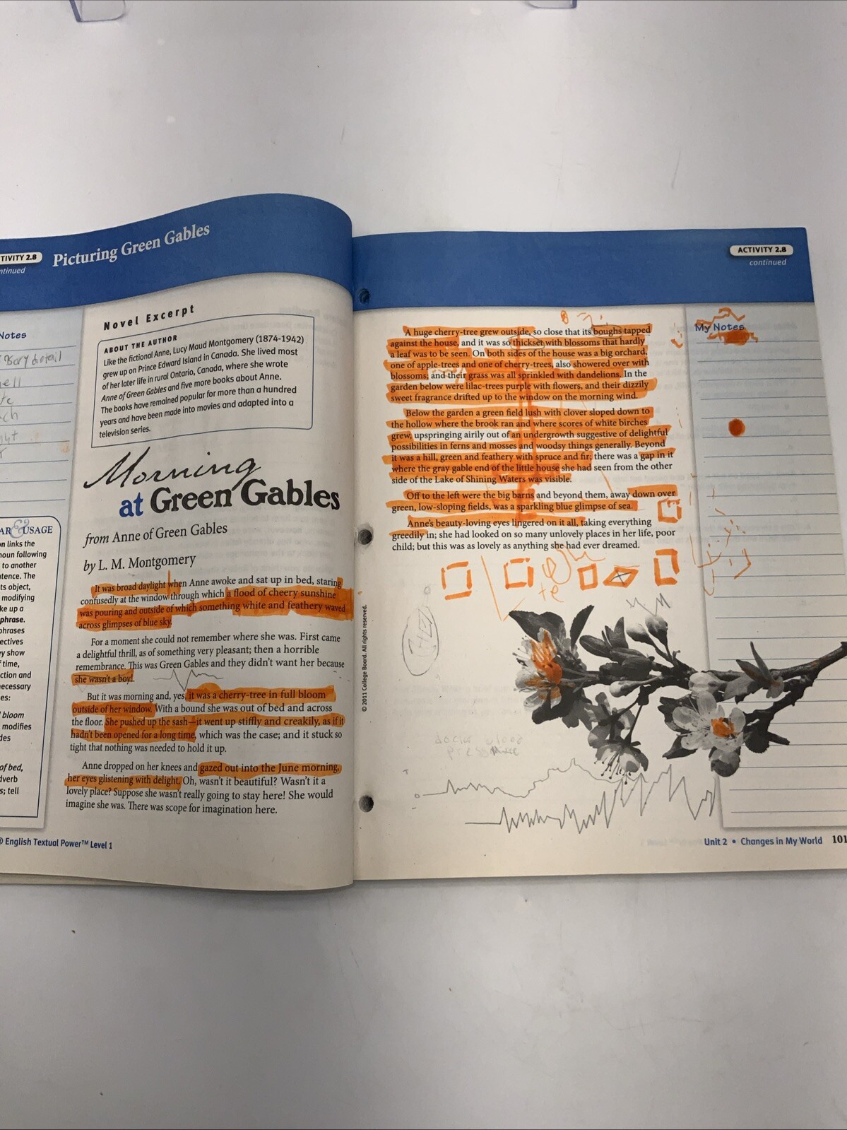 SpringBoard English Textual Power Level 1 (The College Board’s official…