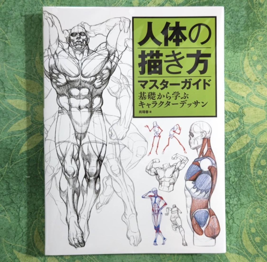 Master Guide to Drawing the Human Body – Character Drawing from the Basics Book