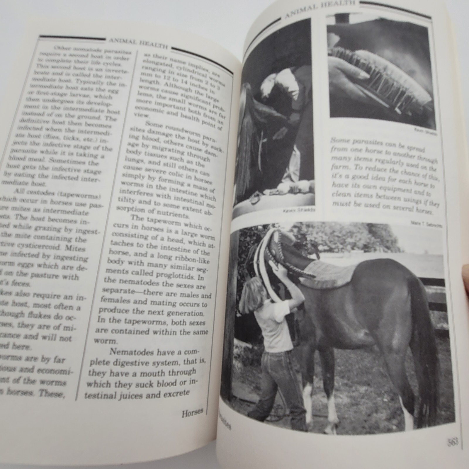 Animal Health Livestock and Pets 1984 Yearbook of Agriculture
