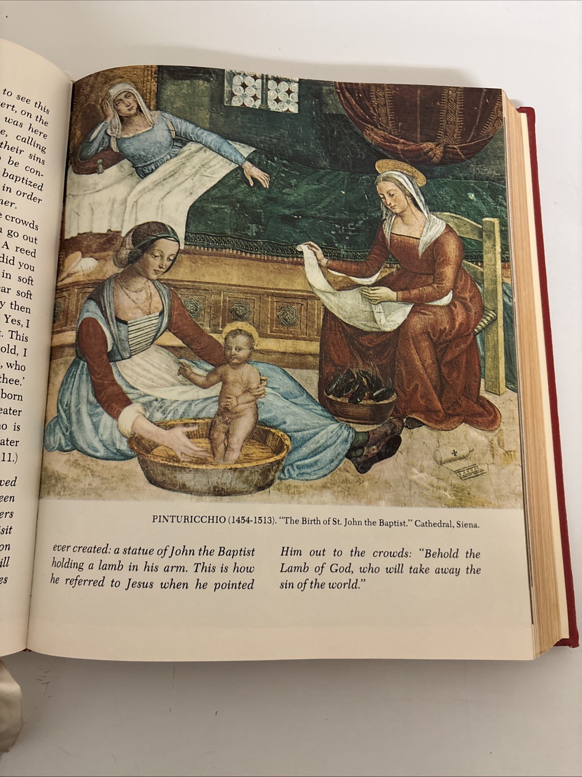 Holy Bible NAB Red. The New American Bible. Catholic Press World