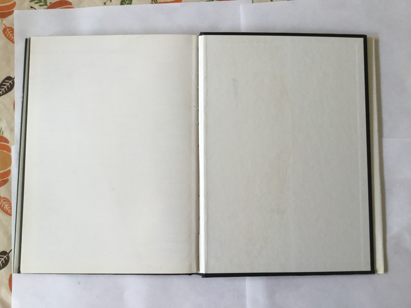 Manual of Nude Photography by Michael Busselle and Jon Gray (1983, Hardcover)