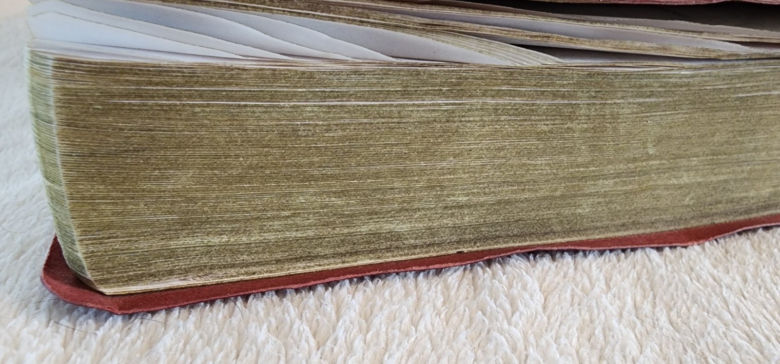 The New American Bible Catholic World Press Red Letter Edition Crimson Cover 91