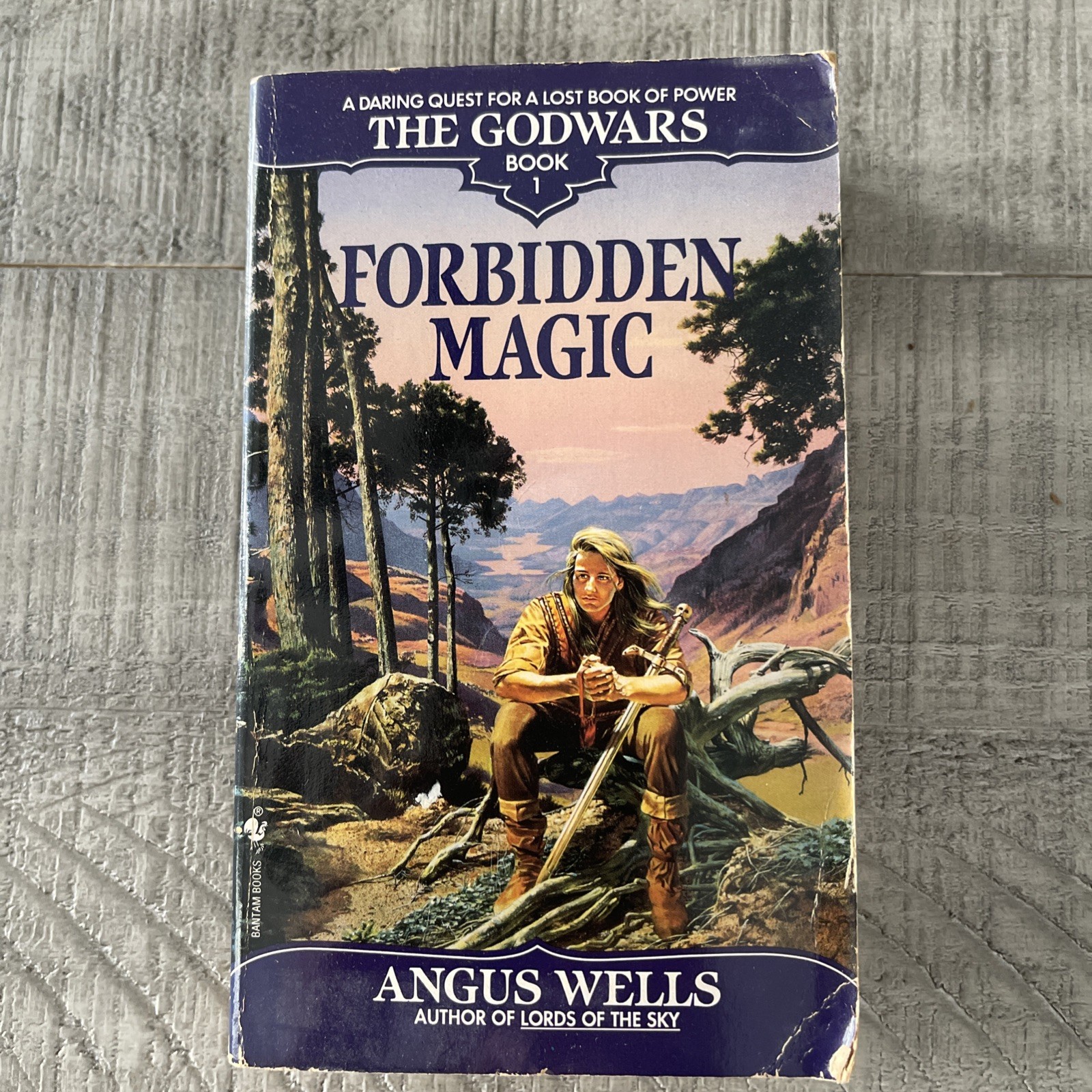 The GODWARS Trilogy Forbidden Magic Dark Magic Wild Magic Wells 1992 Lot /3 PB