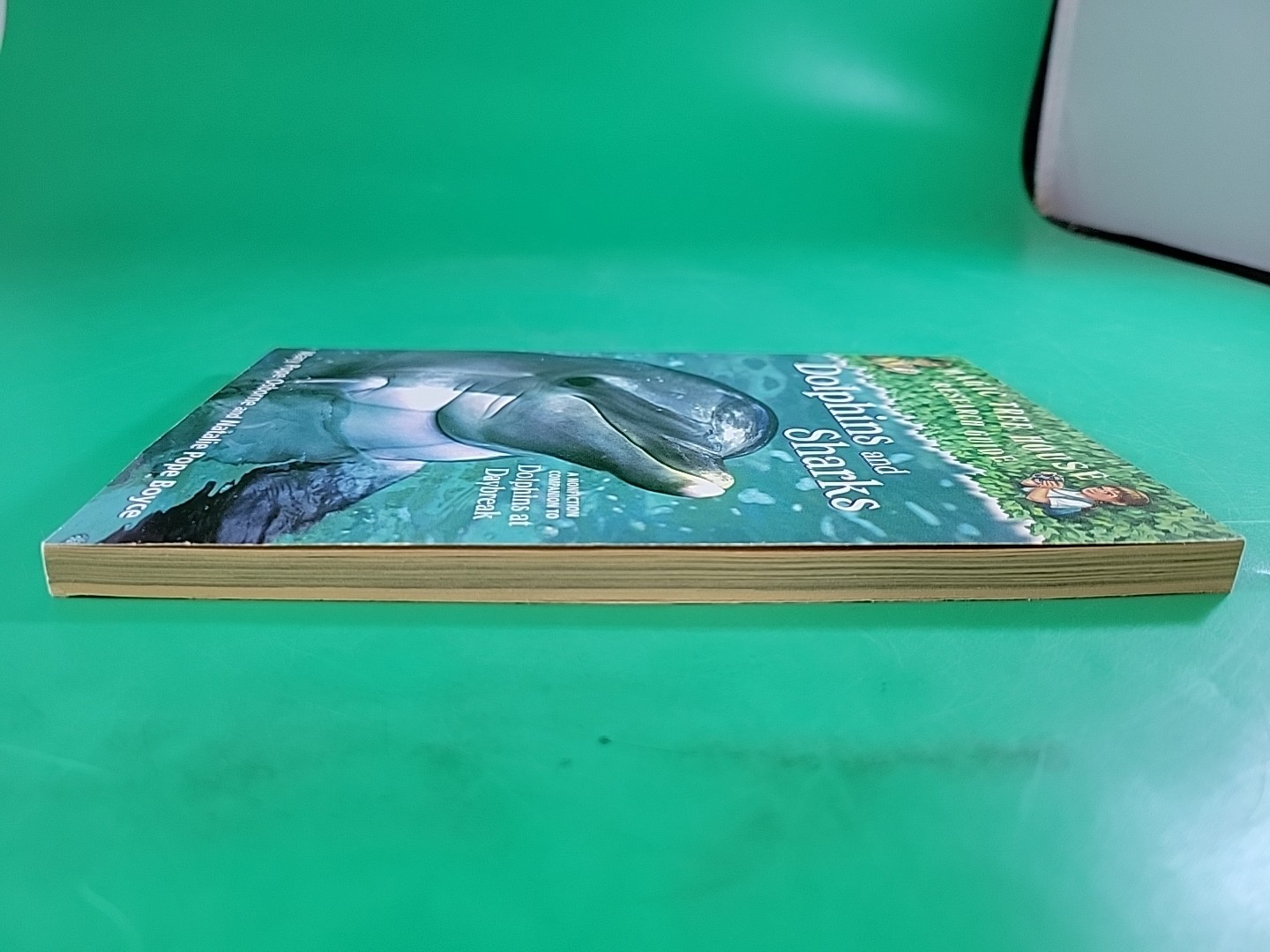 Dolphins and Sharks by Mary Pope Osborne and Natalie Pope Boyce PB
