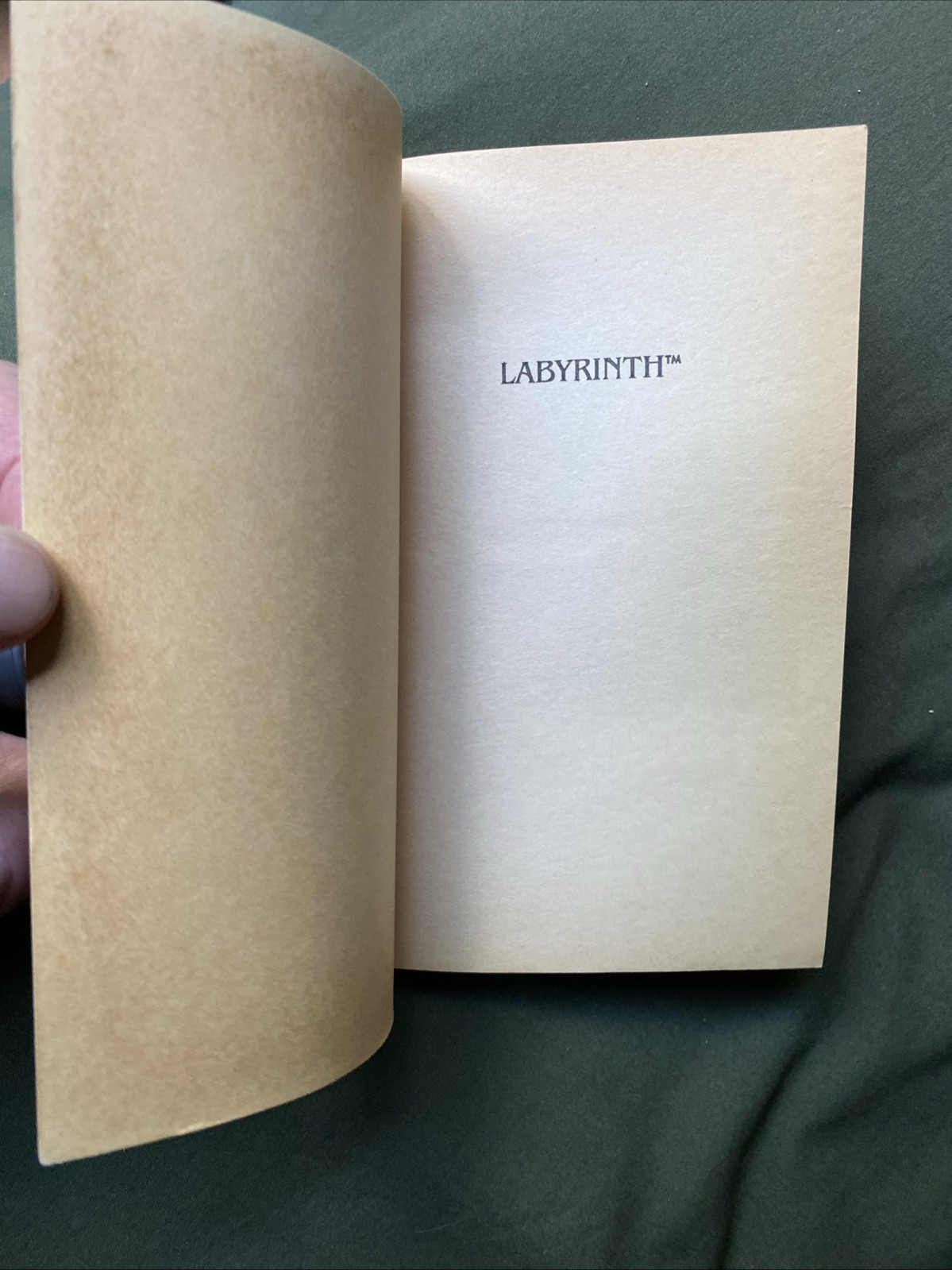 Labyrinth by ACH Smith 1st Edition Paperback Book Based On Jim Henson Film READ