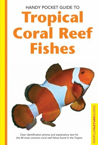 Handy Pocket Guide to Tropical Coral Reef Fishe… by Allen, Gerald R. Paperback
