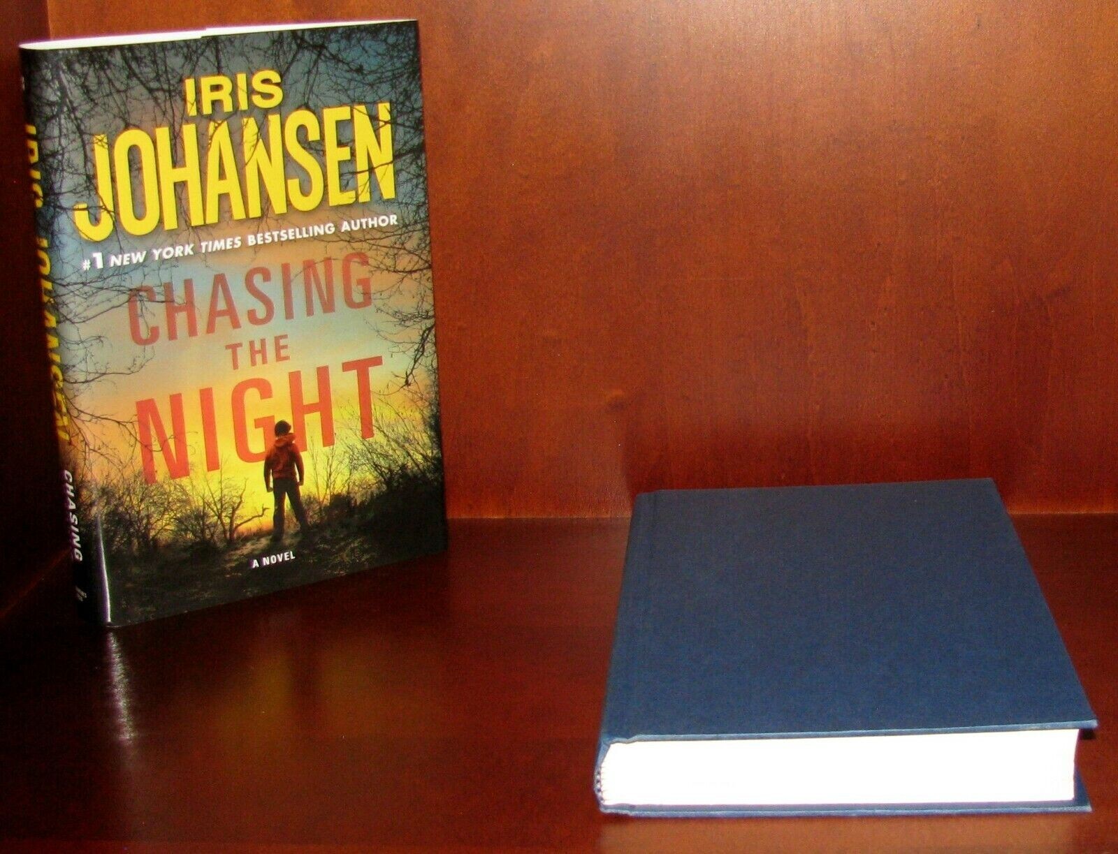 Chasing the Night Iris Johansen 1st Ed HC Eve Duncan Thriller