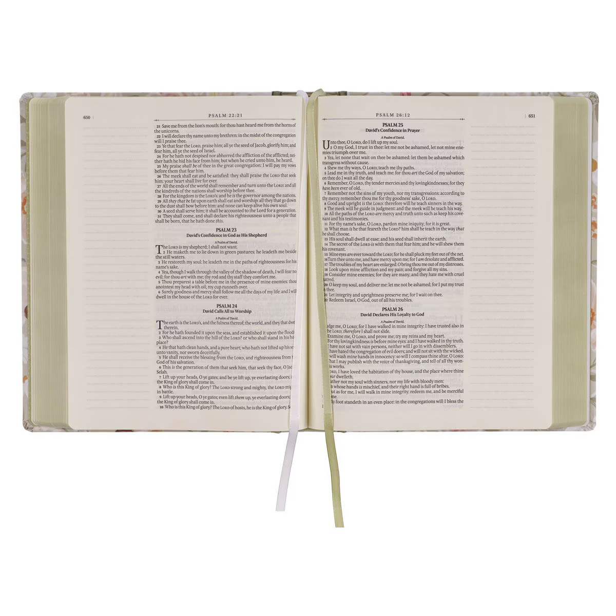 KJV Note-taking Bible, Large Print Special Edition, Journal Space, Reading Plan,