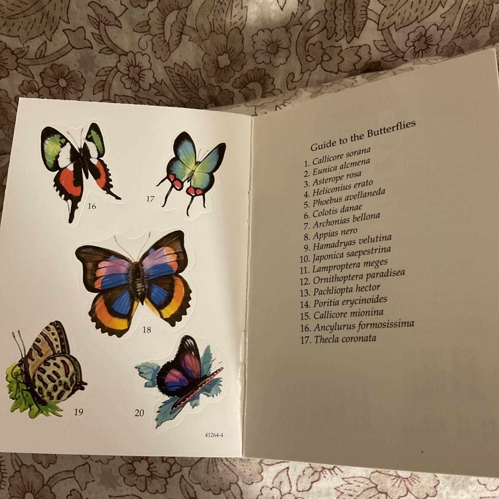 REALISTIC BUTTERFLY STICKERS (DOVER LITTLE ACTIVITY BOOKS) Jan Sovak BRAND NEW