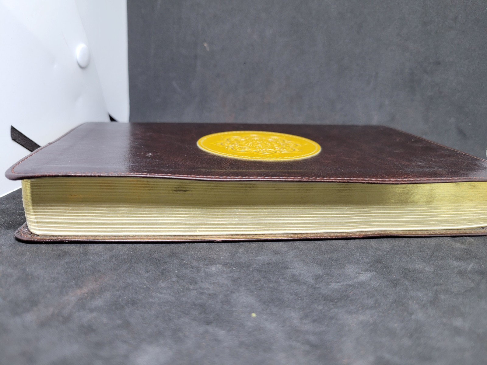ESV THINLINE BIBLE TRUTONE Crossway Bibles Holy Bible
