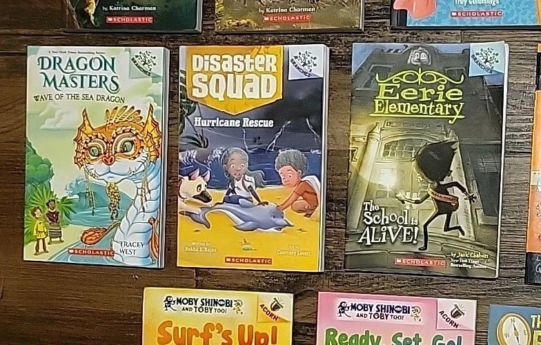 LOT 27 BRANCHES CHAPTER BOOKS: DIARY OF PUG +Owl Diaries +PRESS START HomeSchool