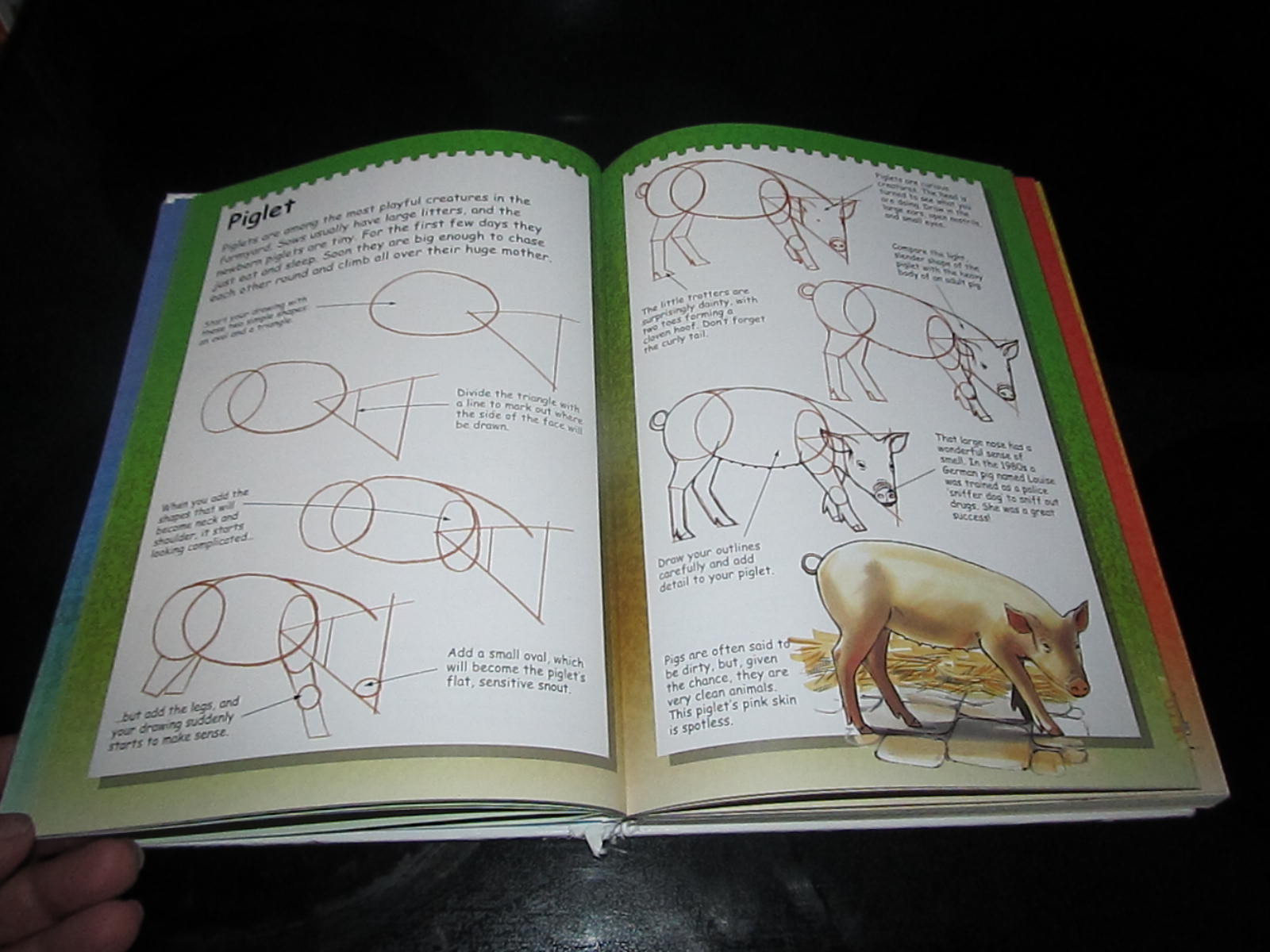 Terry Longhurst “I Can Draw..” Youth Young Adult Book Art Artwork Animals People