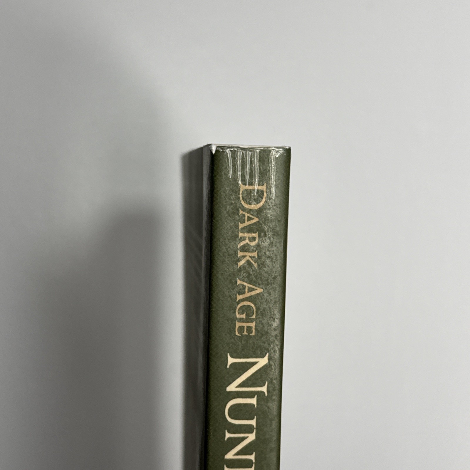 Dark Age Nunneries : The Ambiguous Identity of Female Monasticism, 800-1050