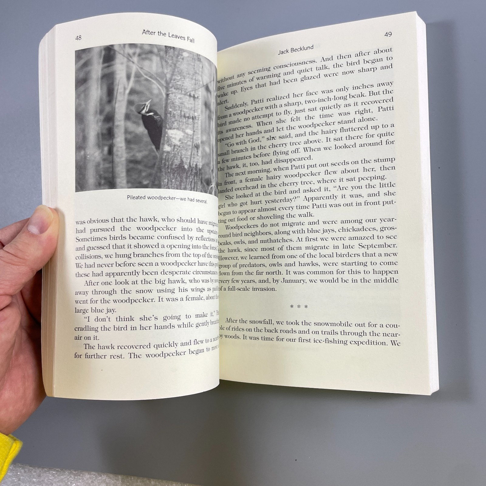 After the Leaves Fall by Jack Becklund – North Star Press 2001 – TPB