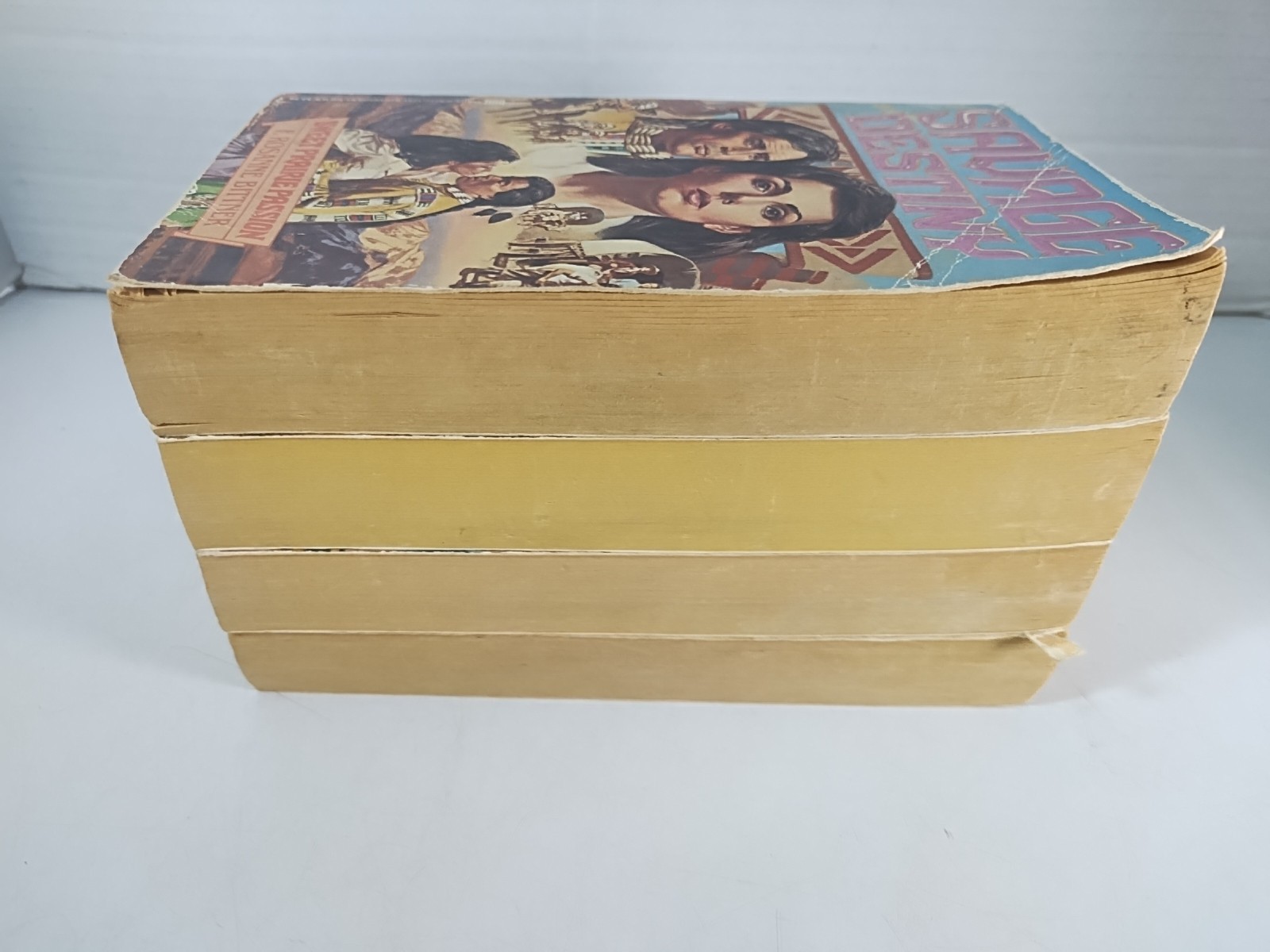 Savage Destiny Paperback 4 Book Lot Rosanne Bittner Historical Romance Old West