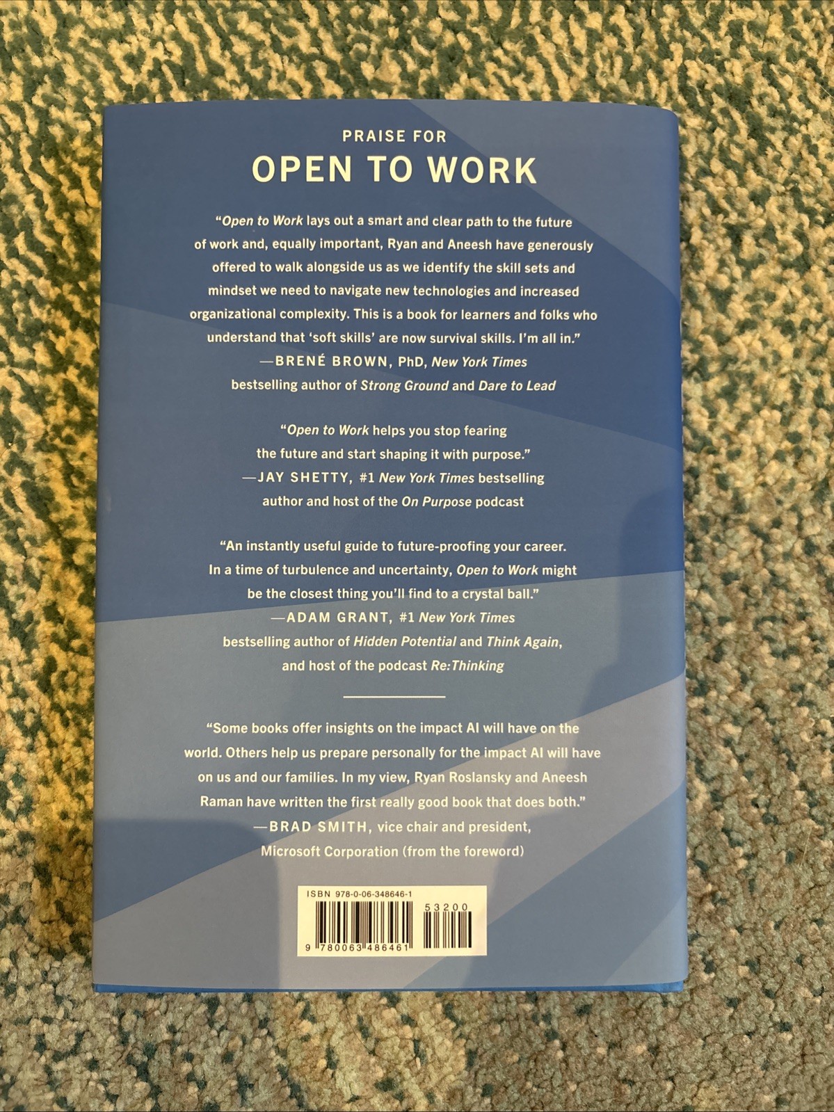 Open to Work (Hardcover) by Ryan Roslansky Aneesh Raman