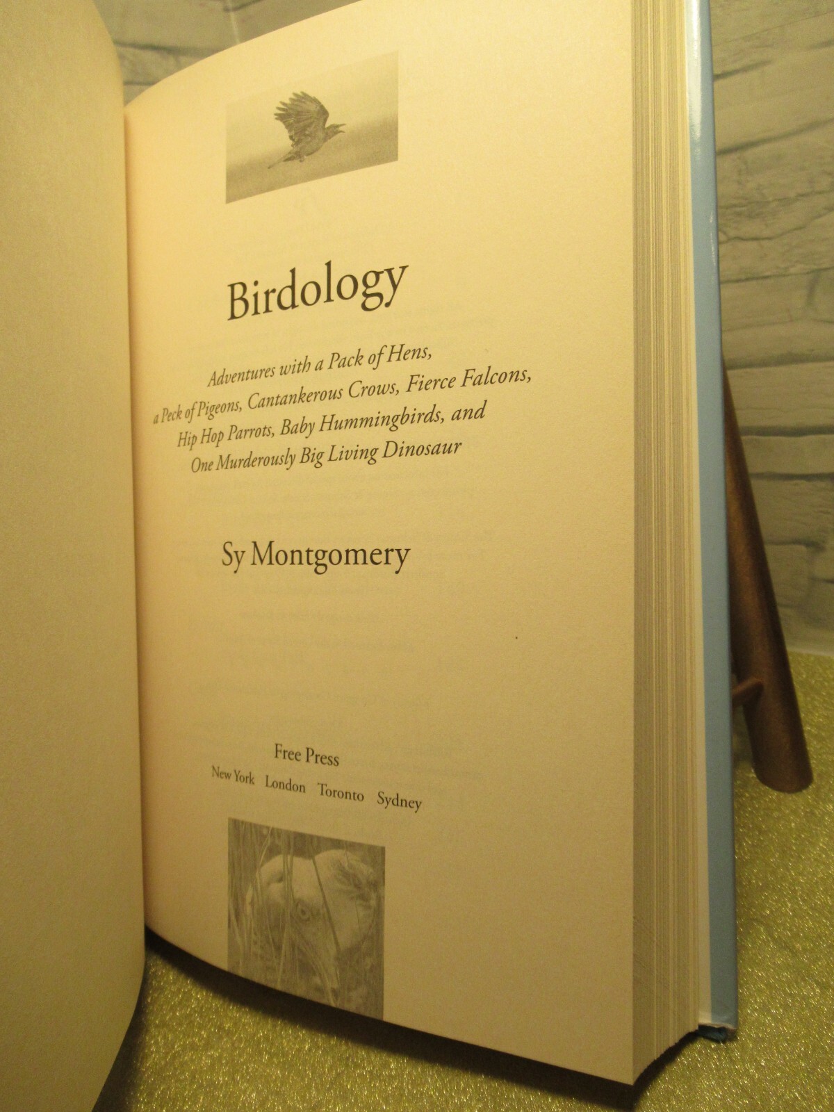 Birdology/ Adventures with a Pack of Hens, a Peck of Pigeons…/by Sy Montgomery