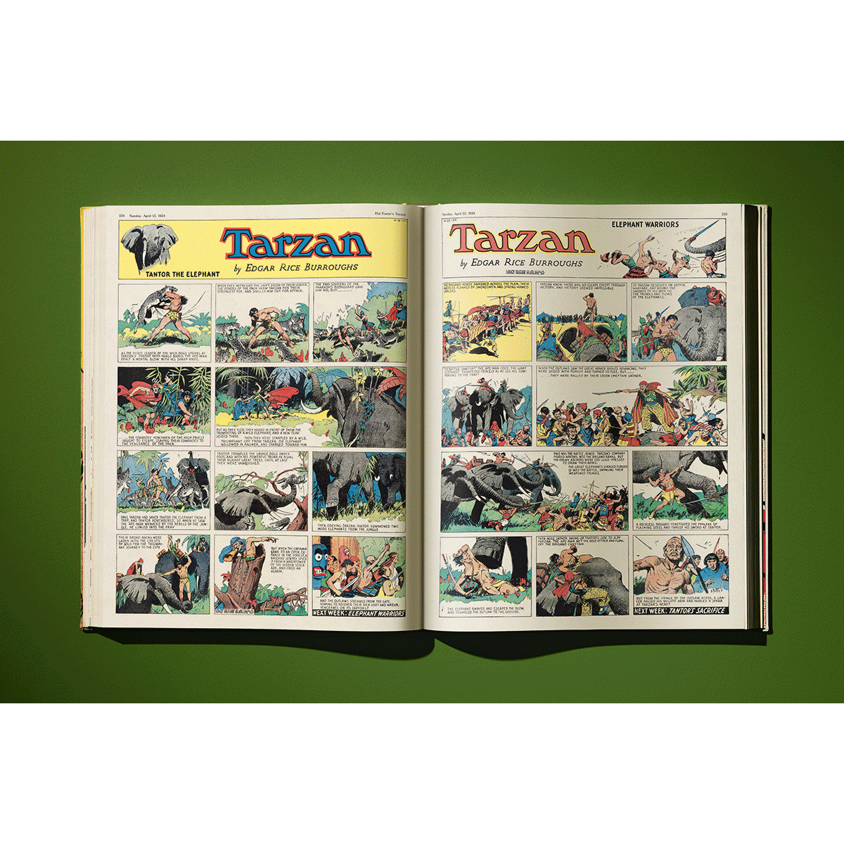 Hal Foster’s Tarzan: The Complete Sunday Comics 1931–1937 Dian Hanson