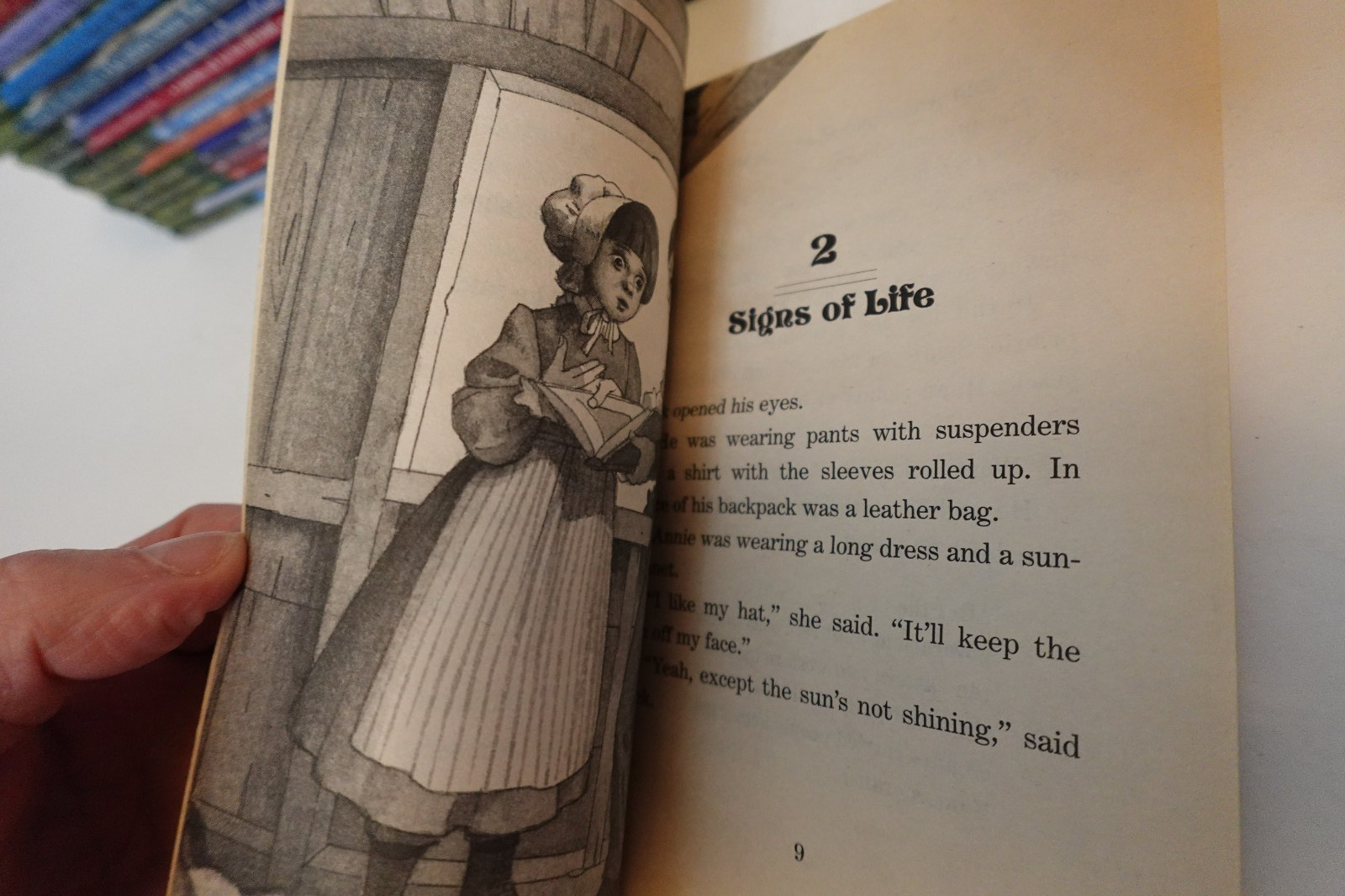 Magic Tree House book collection (kid’s paperback book series)