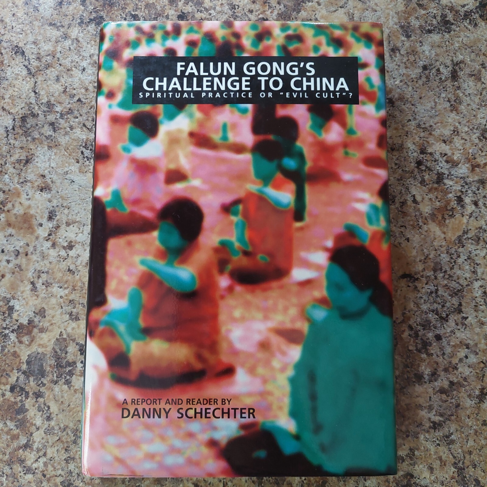 Falun Gong’s Challenge To China – 9781888451139