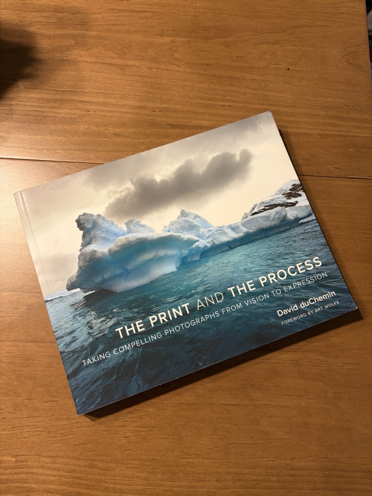 The Print and The Process: Taking Compelling Photographs from Vision to Expressi