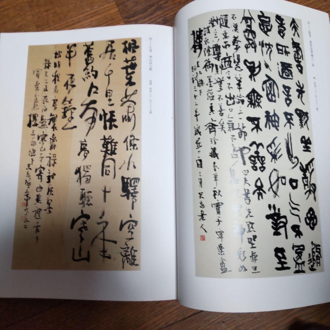 Tsujimoto Shimura Art Book 37cm x 27cm 246 Pages Limited Edition Exhibition