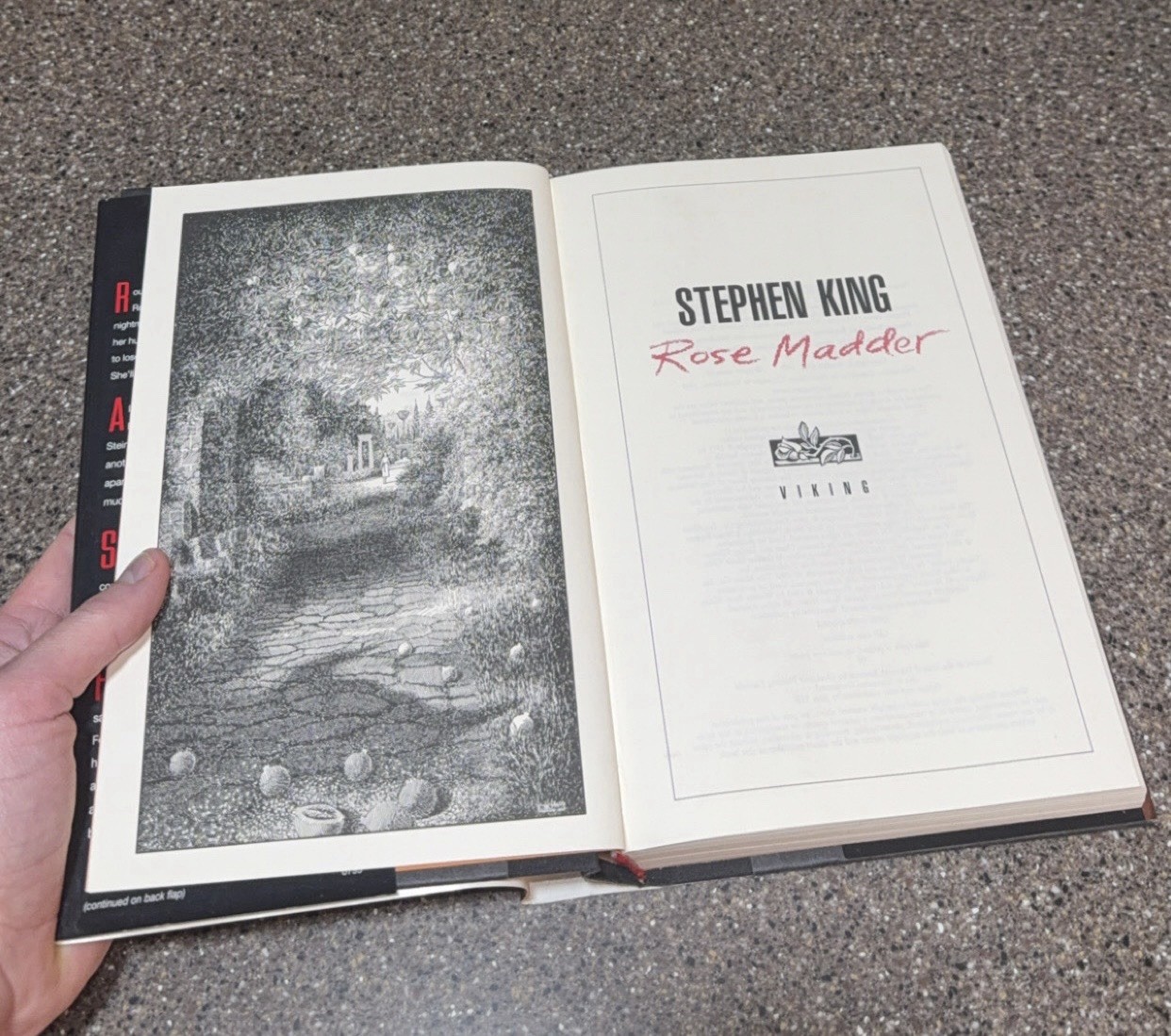 Stephen King ROSE MADDER 1st Edition 1st Printing Hardcover Dust Jacket