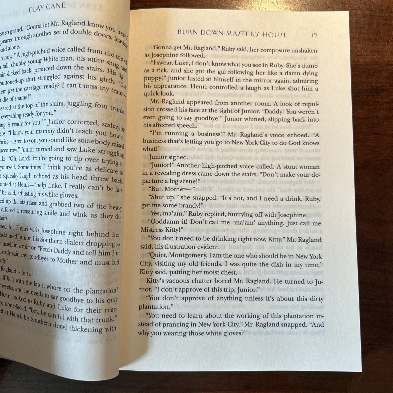 Burn Down Master’s House by Clay Cane – Feb. 2026, ARC Copy SIGNED BY AUTHOR