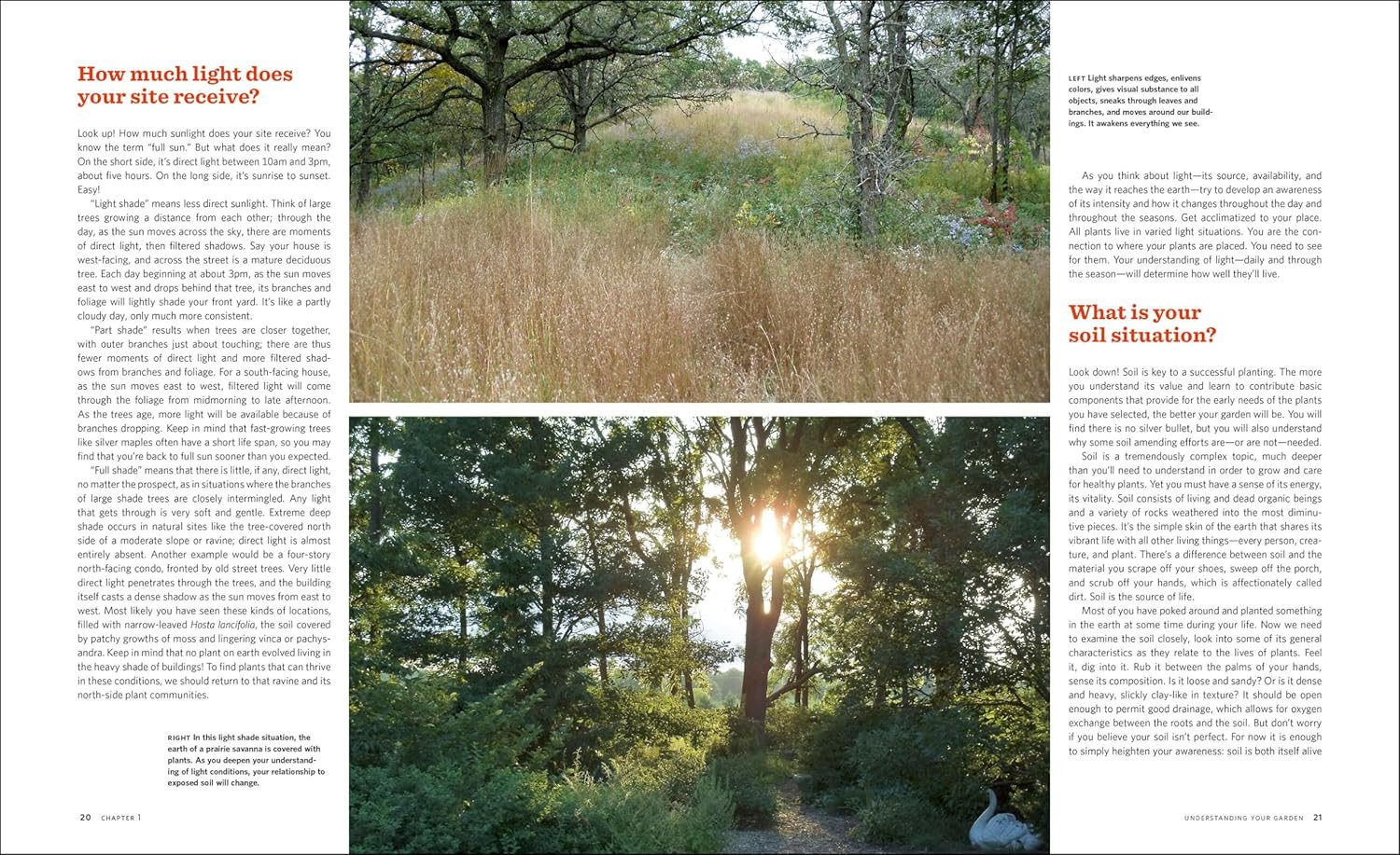 The Know Maintenance Perennial Garden