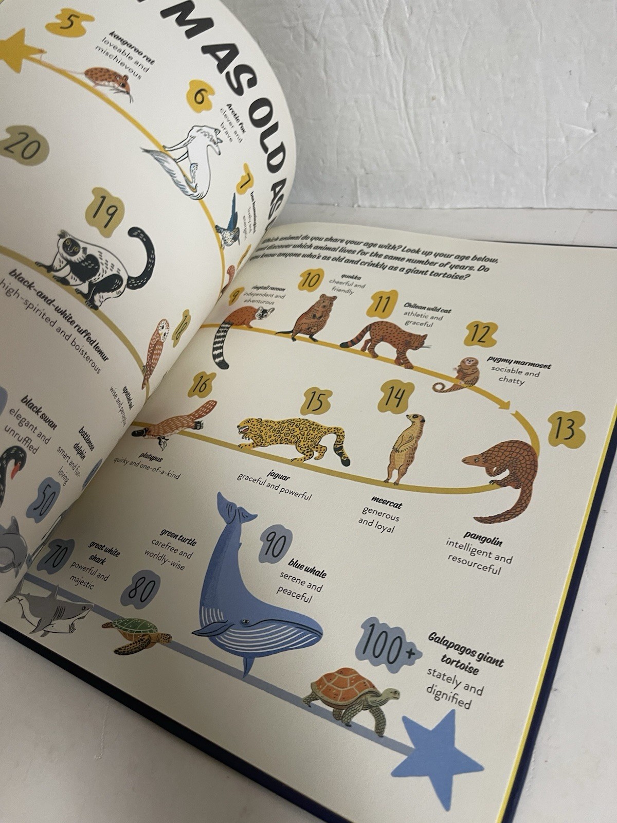 Birthday Almanac : Discover the Meanings, Symbols and Rituals of Your Day of…