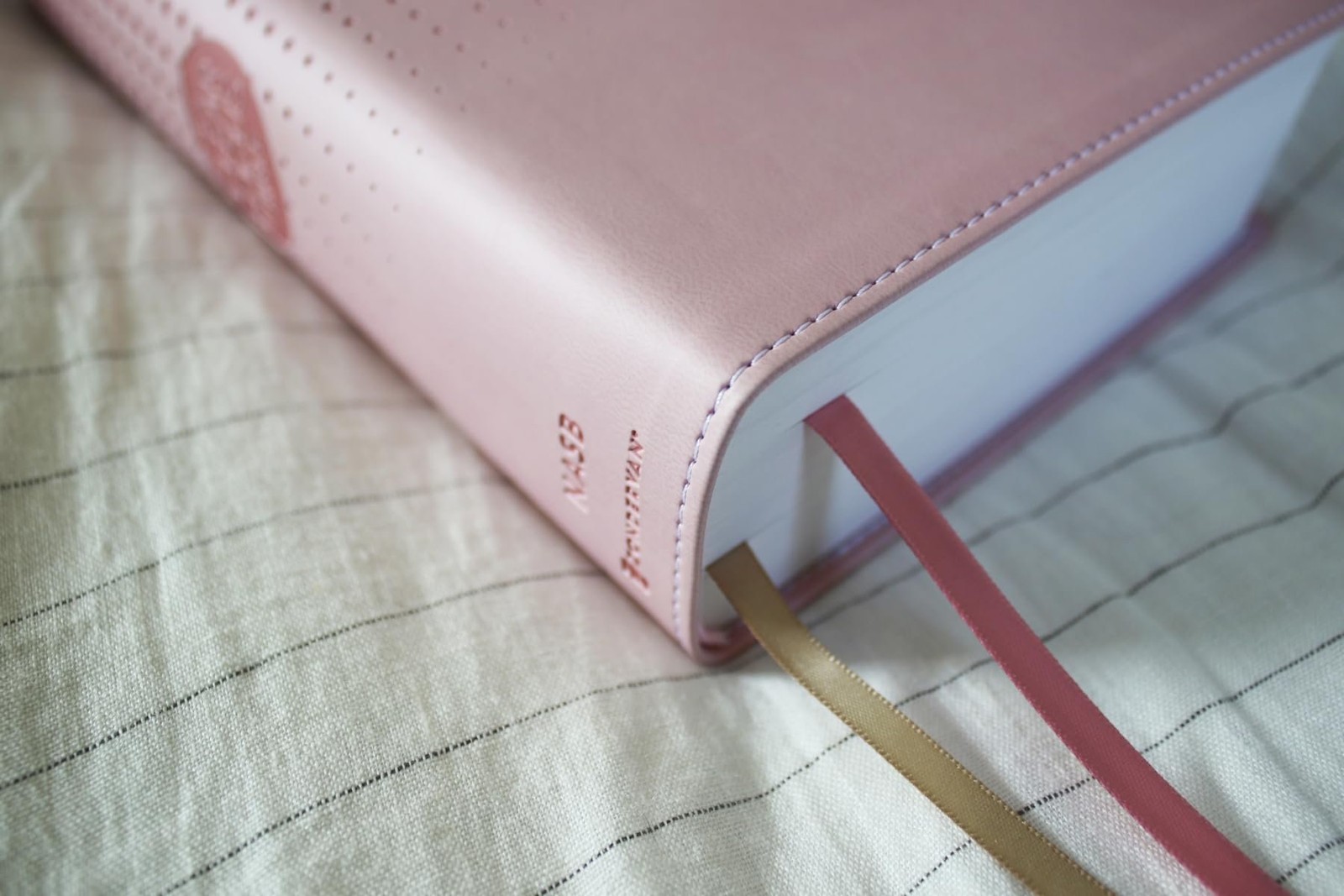 NASB, Clear Focus Bible, Leathersoft, Pink: Read more of the Bible with…