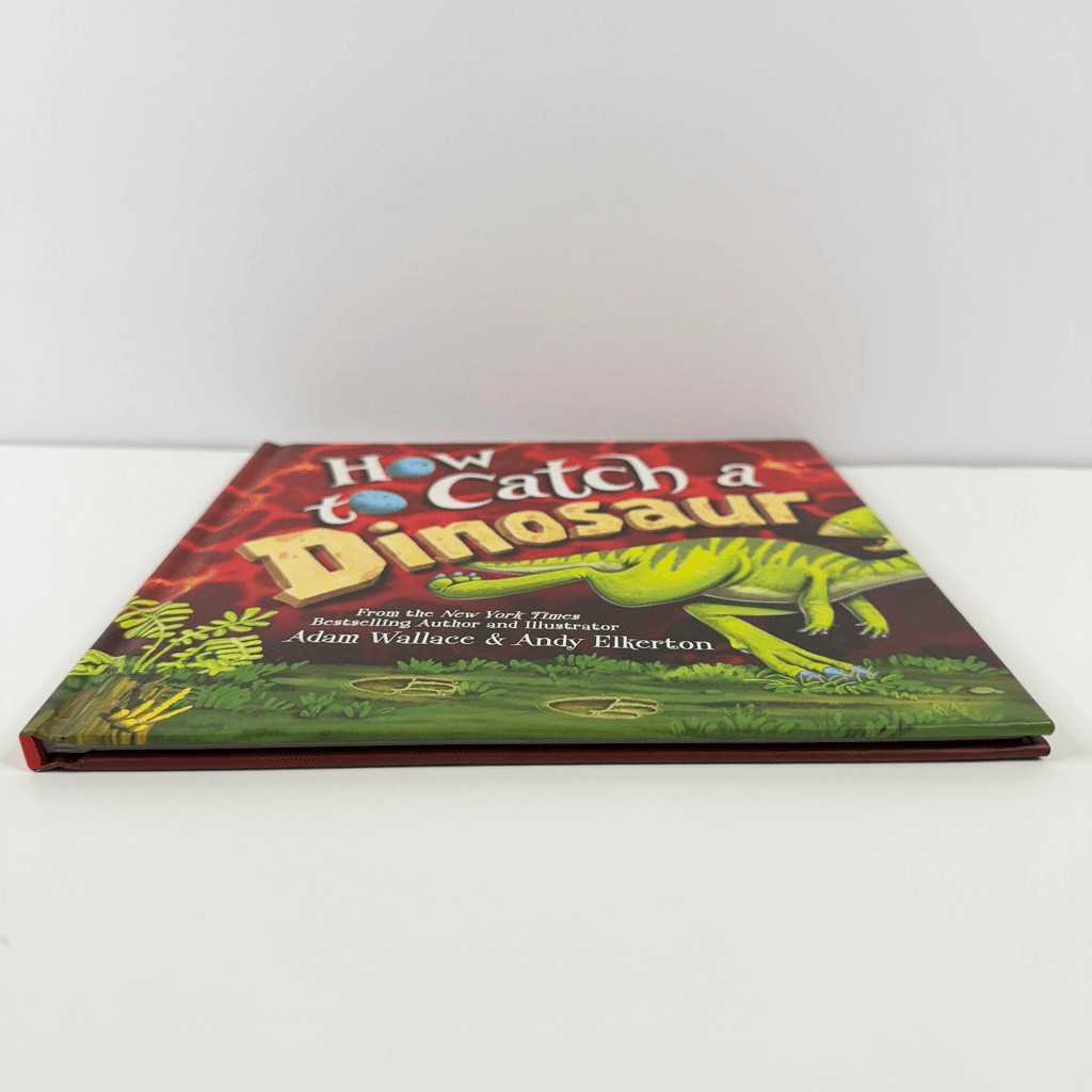 Adam Wallace’s How to Catch a Dinosaur book (Hardcover)