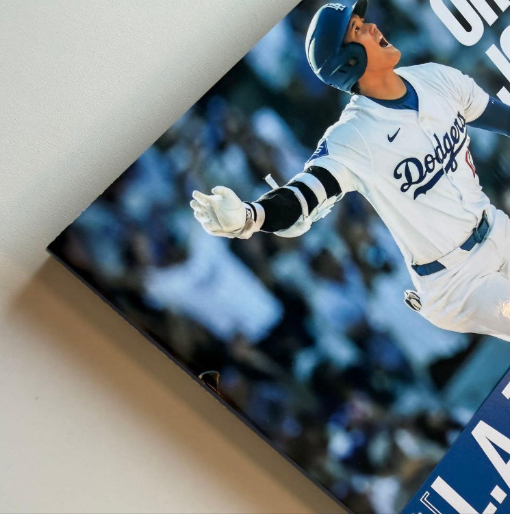 Shohei Ohtani Journey LA Times Official Book 2024 Dodgers World Series MVP NEW F