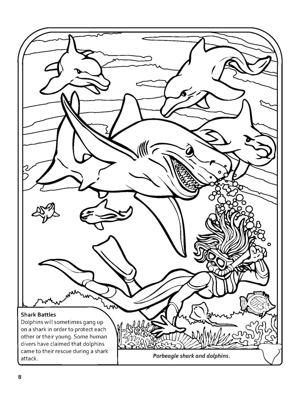 Sharks! Coloring Book (Dover Nature Coloring Book)