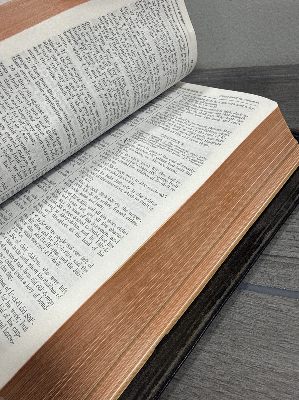Holy Bible New Analytical Indexed Edition MOROCCO LEATHER Concordance Dickson