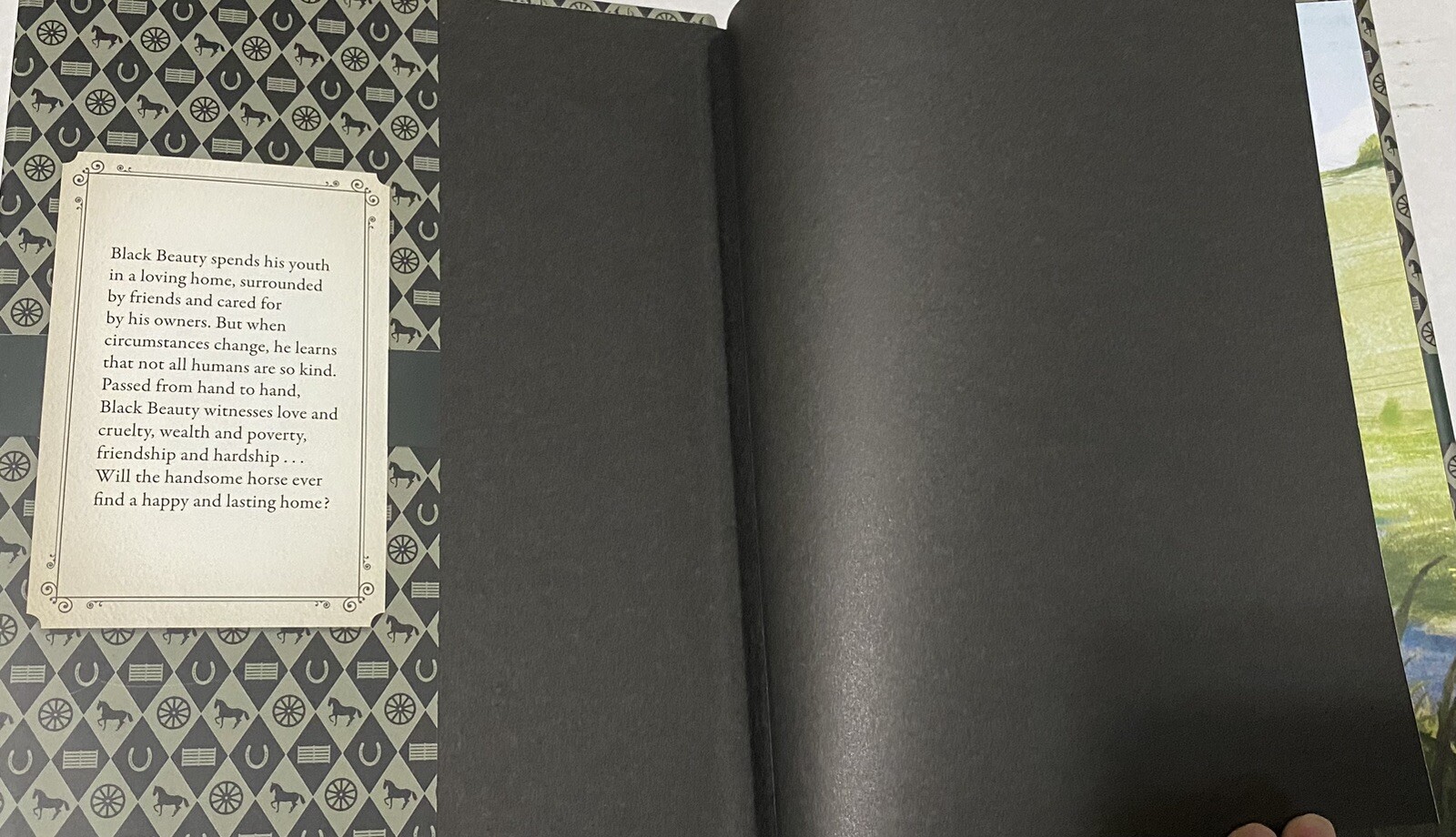 Black Beauty Illustrated Classic by Anna Sewell, Anne Rooney