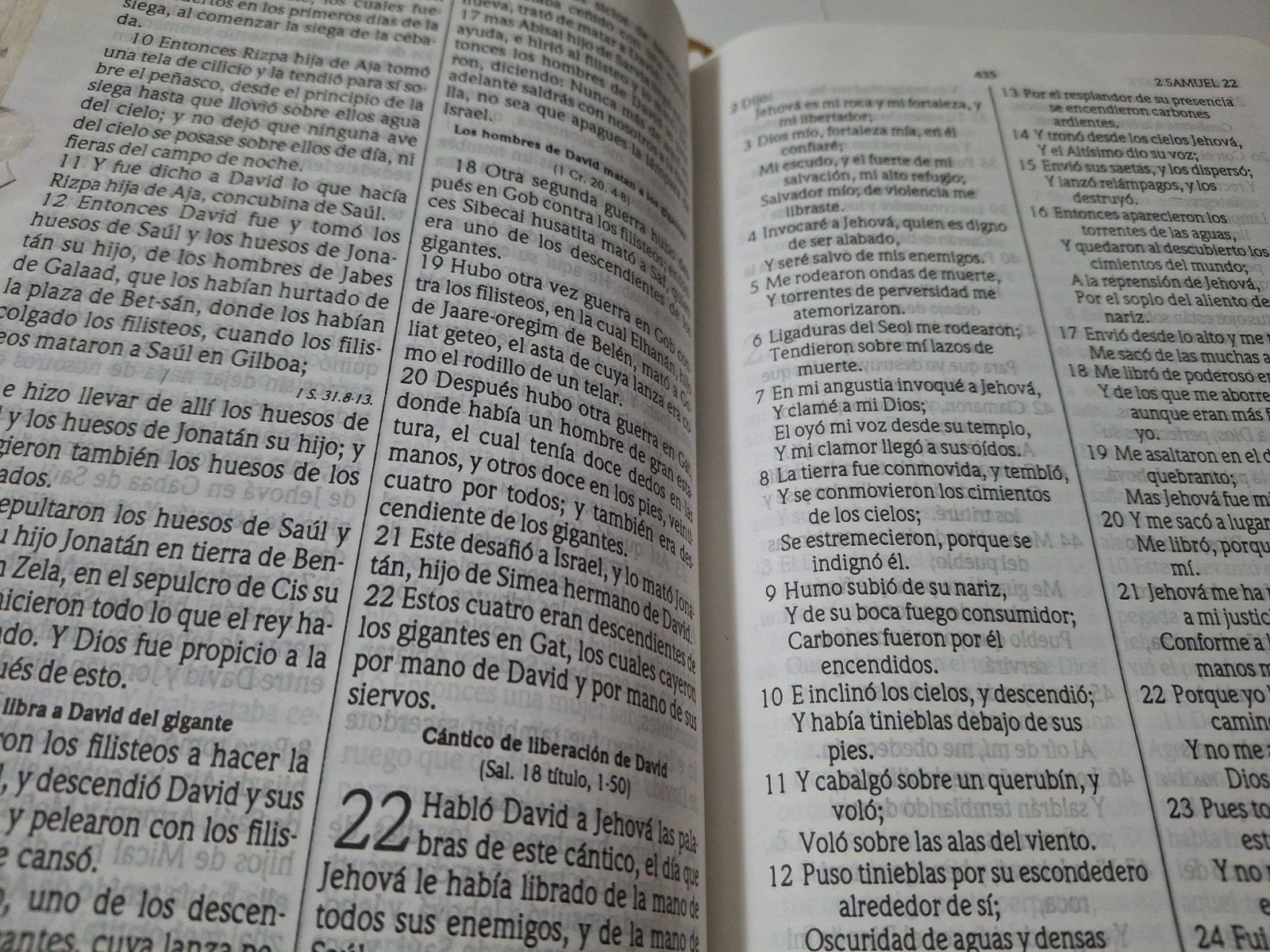 Santa Biblia Bilingual Bible RVR 1960/KJV Burgundy Imitation Leather (Spanish)
