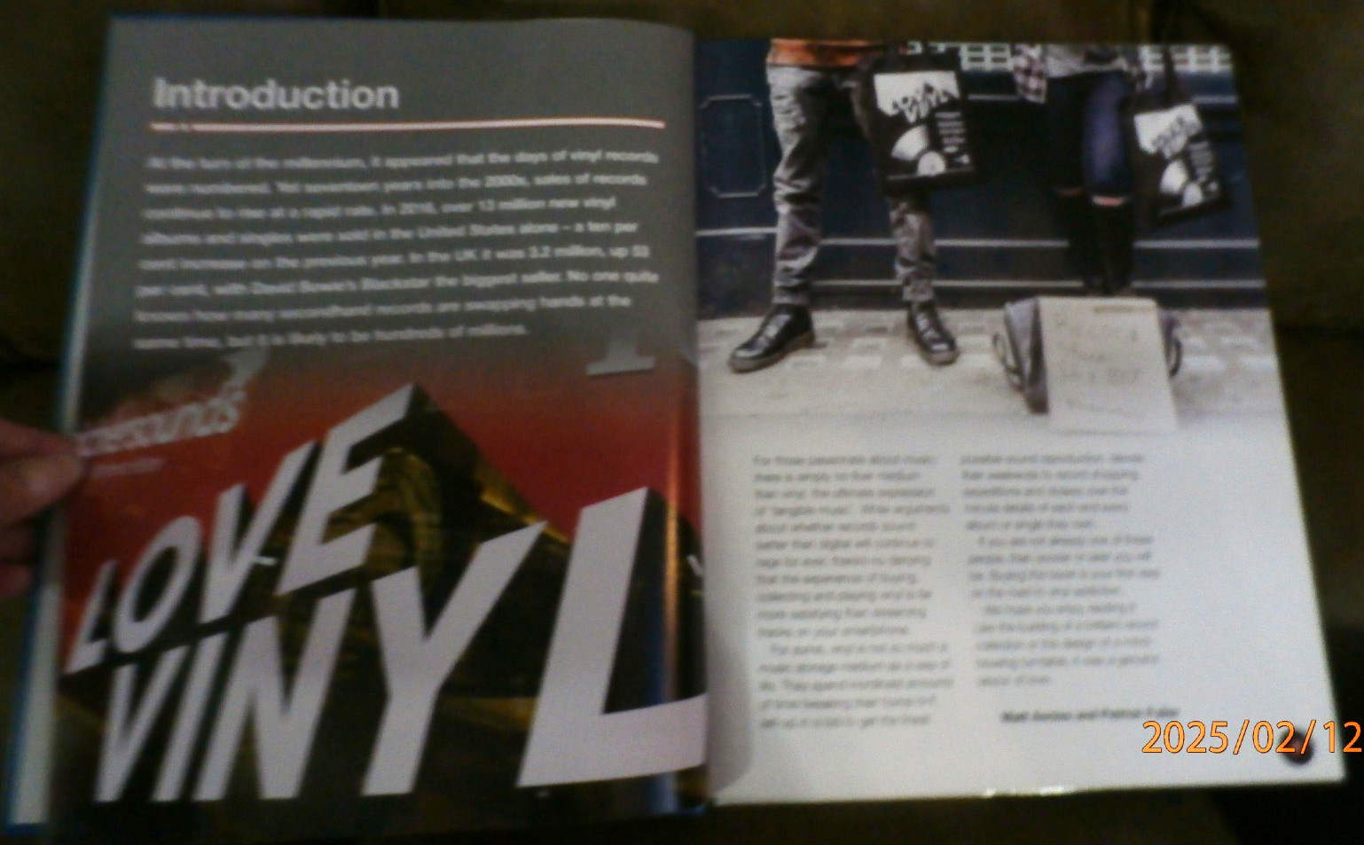 VINYL Owners Workshop Manual by Matt Anniss and Patrick Fuller (NEW) 188 Pages