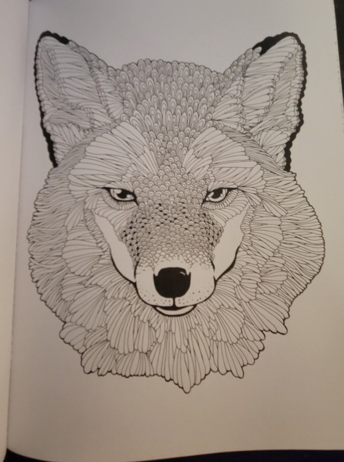 MAJESTIC CREATURES Vol 12 Adult Coloring Book With 47 Prints Ready To Frame