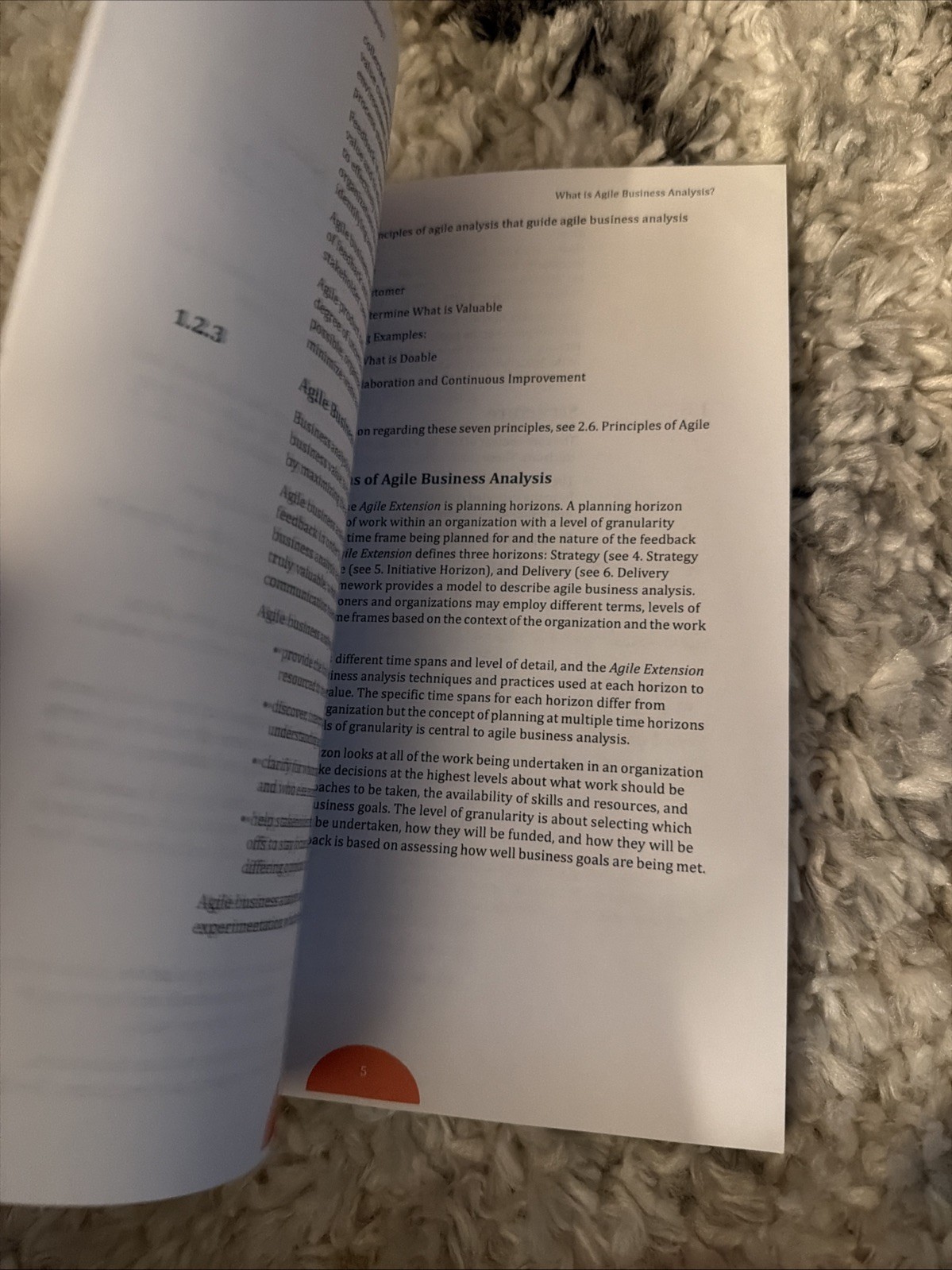Agile Extension to the BABOK(R) Guide: Version 2 by Iiba