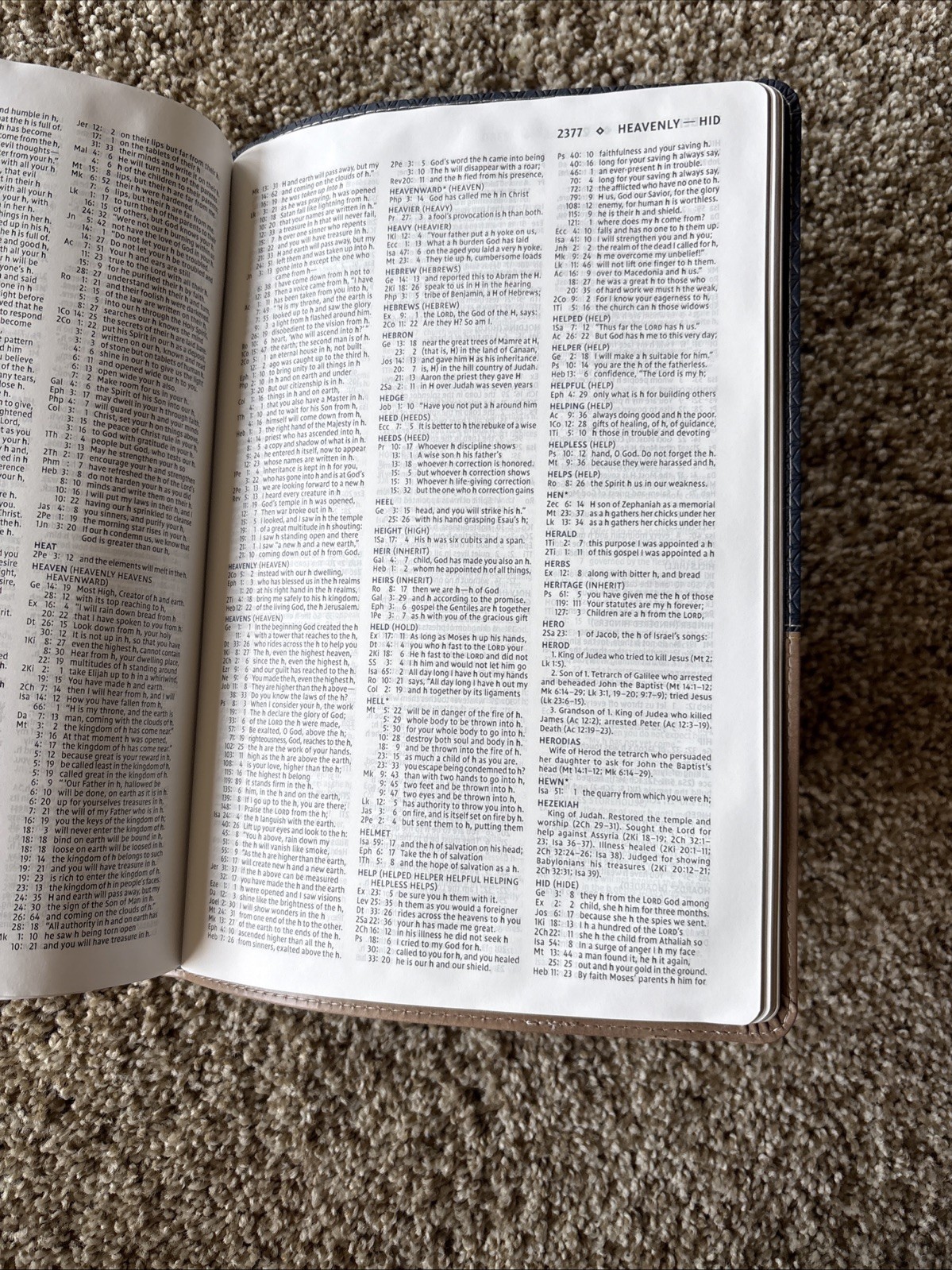 NIV Study Bible Fully Revised Edition Leather Soft Zondervan Blue/Tan