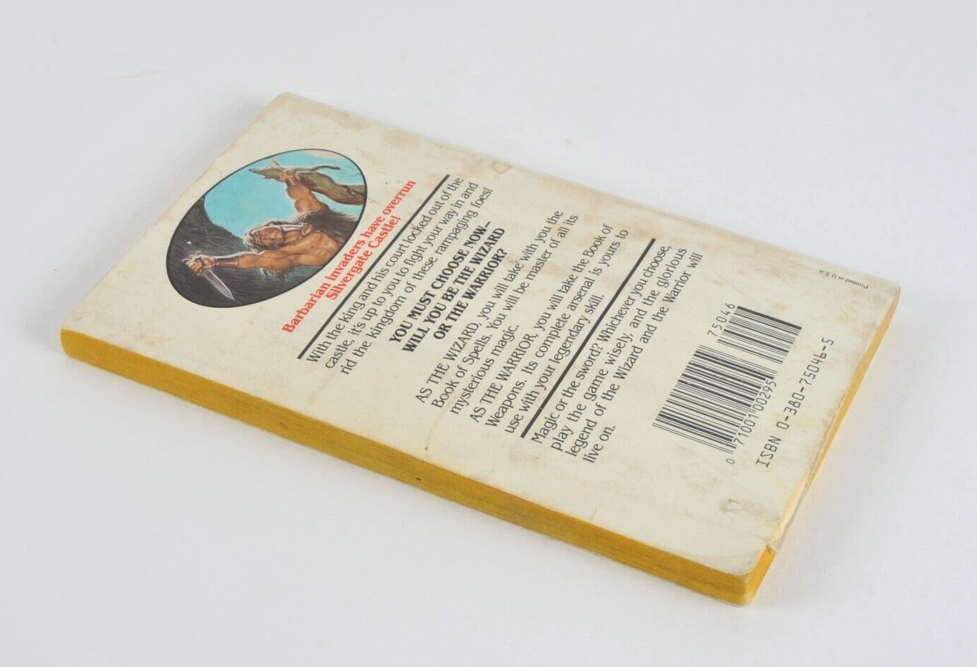 Wizards Warriors & You Book #17 Conquest Of The Barbarians First Printing 1986