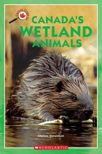 Canada Close Up: Canada’s Wetland – Paperback, by Donaldson Chelsea – Very Good