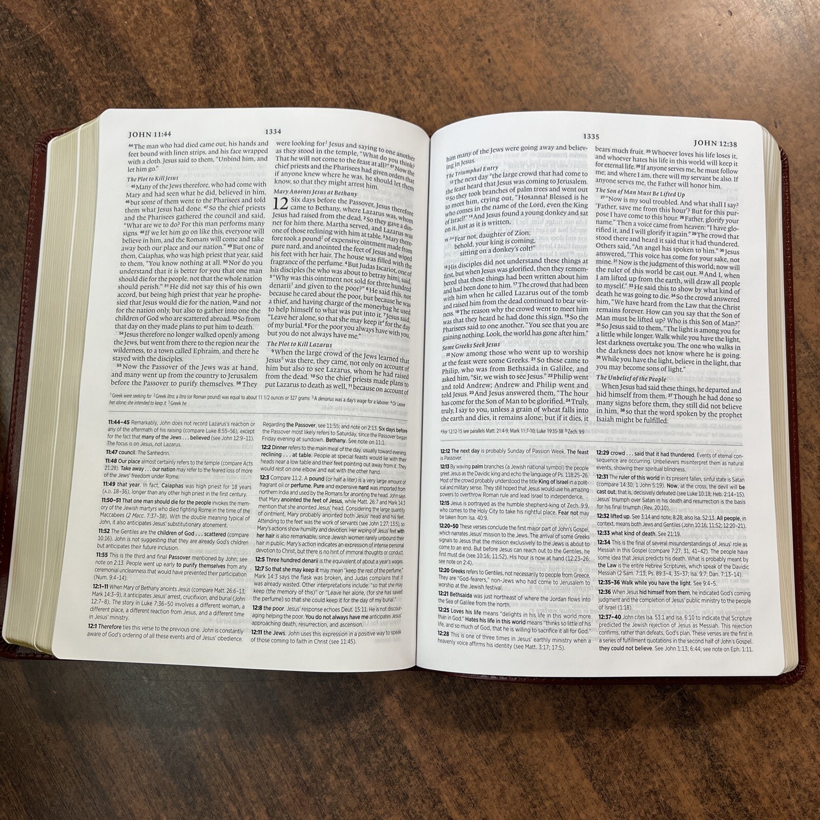 ESV Systematic Theology Study Bible – $69.99 Retail – Chestnut Brown TruTone