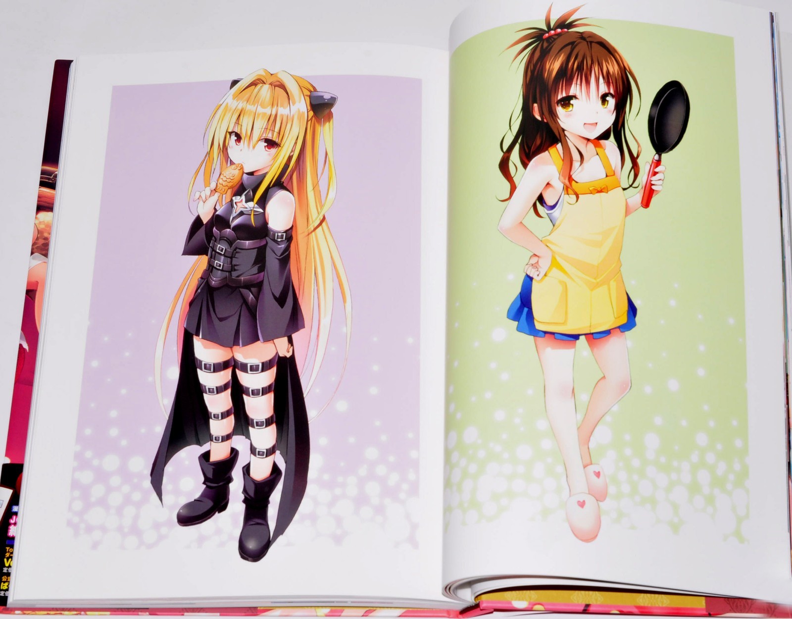 To Love-Ru Darkness Harem Gold Art Book Illustrations + Case 10th anniversary JP