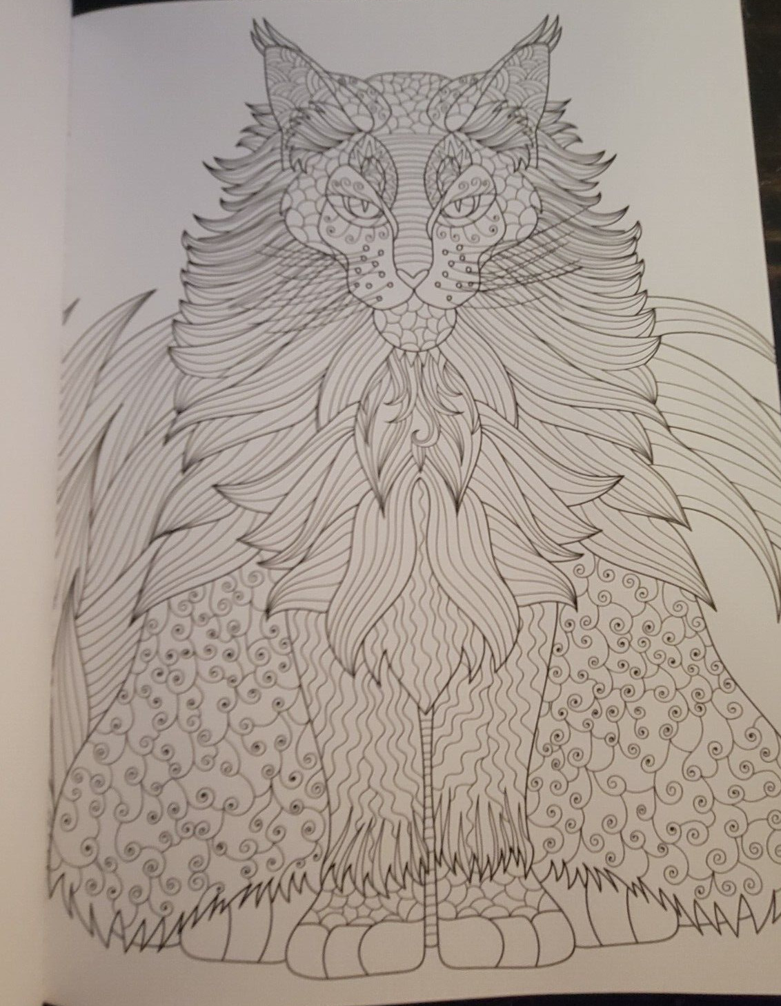 MAJESTIC CREATURES Vol 12 Adult Coloring Book With 47 Prints Ready To Frame