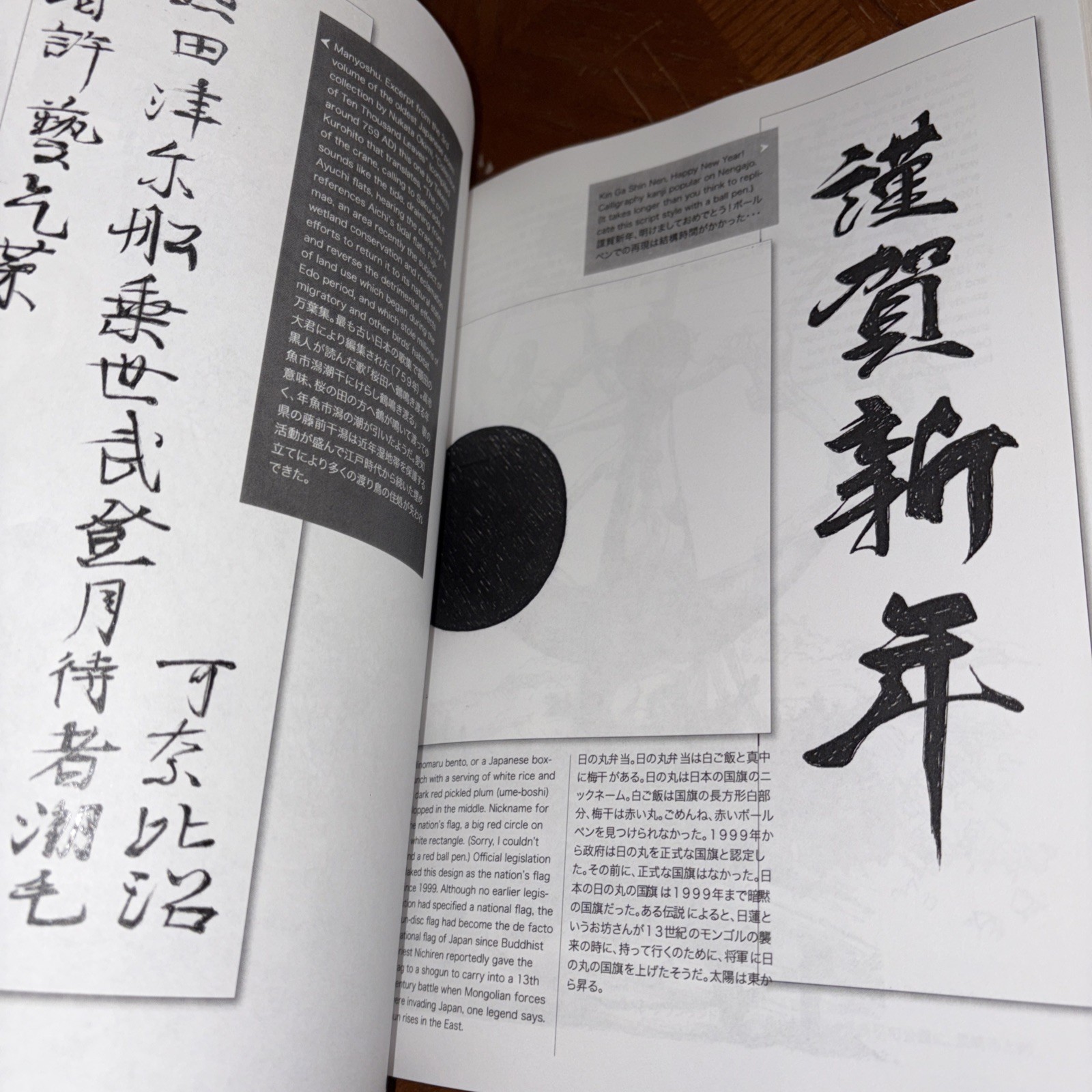 Japan 365 : A Drawing-A-Day Project by Mayze (2012, Trade Paperback)