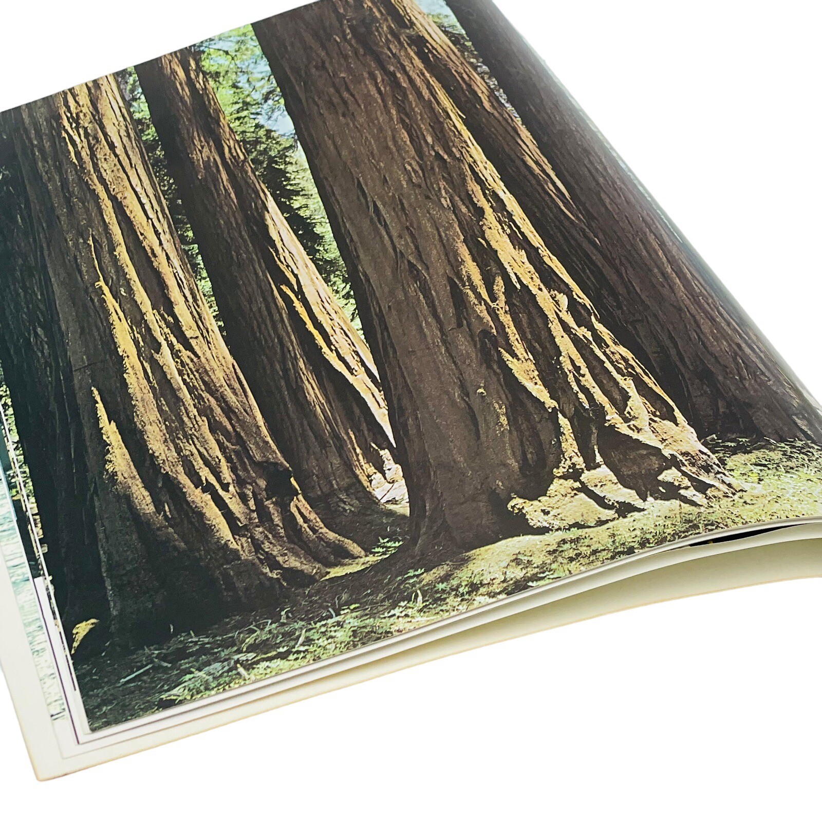 The Far West Collection of Photographs Ray Atkeson California Washington Oregon