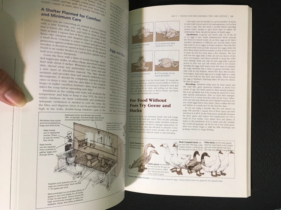 Lot 2 FARM ANATOMY Curious Parts of Country Life Julia Rothman + BACK TO BASICS